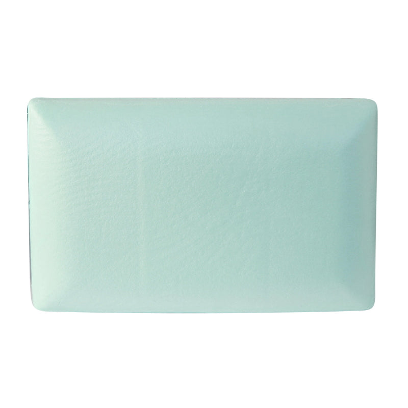 alt="Back details of a lotus infused memory foam pillow"