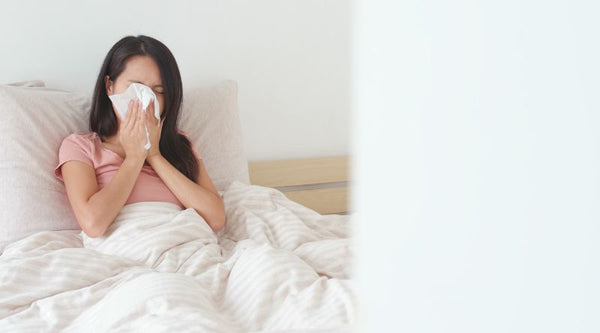 A Guide to Hypoallergenic Bedding The Best Choices for Allergy Suffer