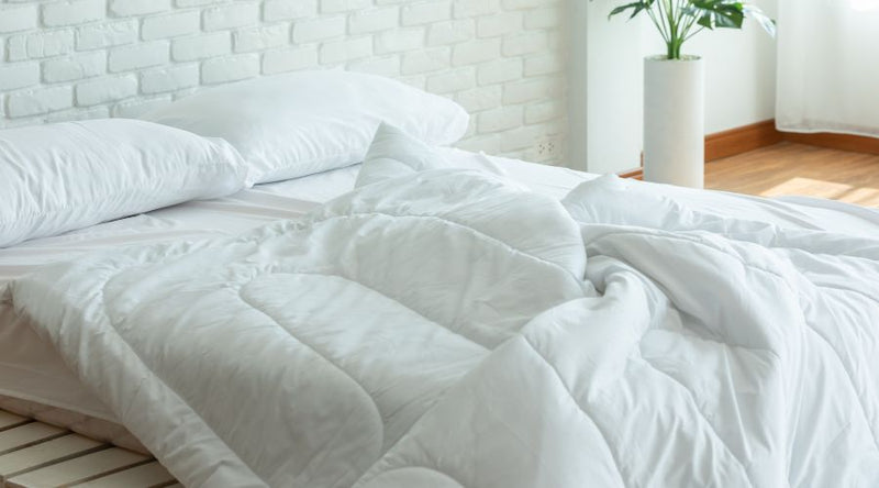 Which quilt is right for you Wool vs. synthetic quilts compared