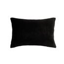 A modern bedroom features a neatly made bed with the Morgan and Reid Black Snuggle Fleece Comforter Set, accented by a white pillow, a side table with a plant and books, wall art, a pendant lamp, and sheer curtains letting in natural light.