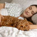 Woman and dog sleeping together on a bed