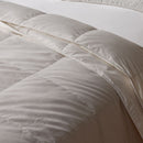 A neatly made bed features the Sienna Living Luxury 4 Seasons Goose Feather Down 2-in-1 Quilt by Sienna Living for year-round comfort. Two pillows rest against a curved beige headboard and blue wall above a light brown floor.