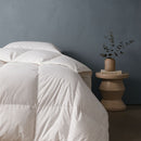 A neatly made bed with Sienna Living All Seasons 50% Duck Down 50% Duck Feather Quilt, white bedding and pillows sits by a black nightstand with a white lamp and two stacked books, set against a blue wall.