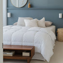 A modern bedroom with a neatly made bed featuring the Sienna Living Winter Hungarian Goose Down Quilt. Behind the bed is a blue accent wall, round mirror, simple decor, and wall sconces. A wooden bench with books sits at the foot of the bed.