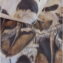 Bedding House Giselle Natural Sateen Cotton Quilt Cover Set (6831055241260)