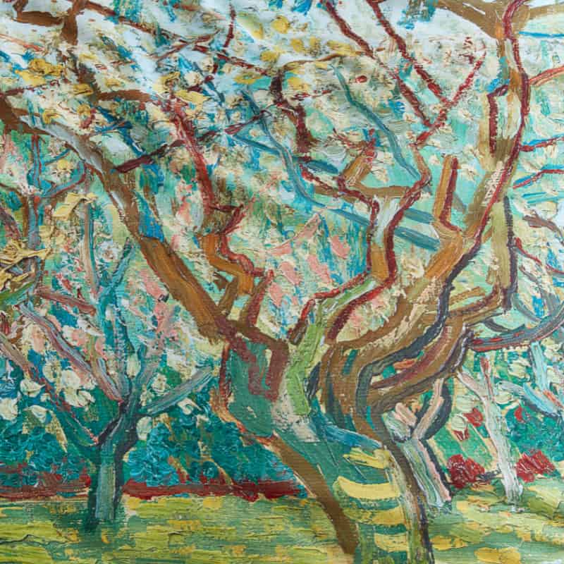 Bedding House Van Gogh Orchard Cotton Sateen Natural Quilt Cover Set (6683655831596)