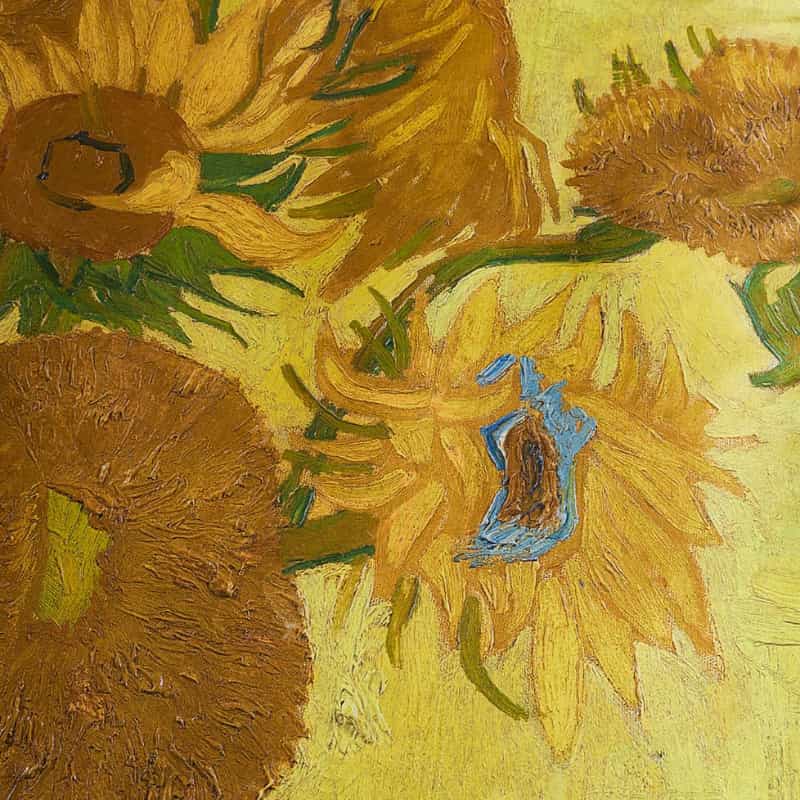Bedding House Van Gogh Tournesol Cotton Sateen Yellow Quilt Cover Set (6683634040876)