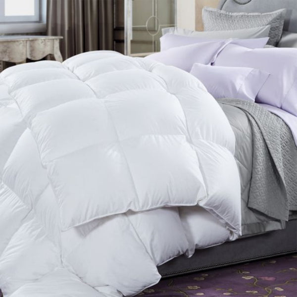 Renee Taylor Deluxe Microluxe Quilt (6655531614252)