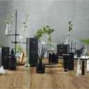 Urban Rituelle Black Amber, Rosewood & Cedar Hand Body Lotion (6672568647724)